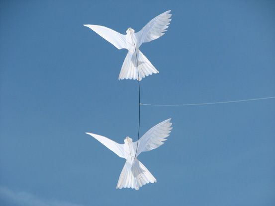 02- Colombes Karl Longbottom - Philippe Burger